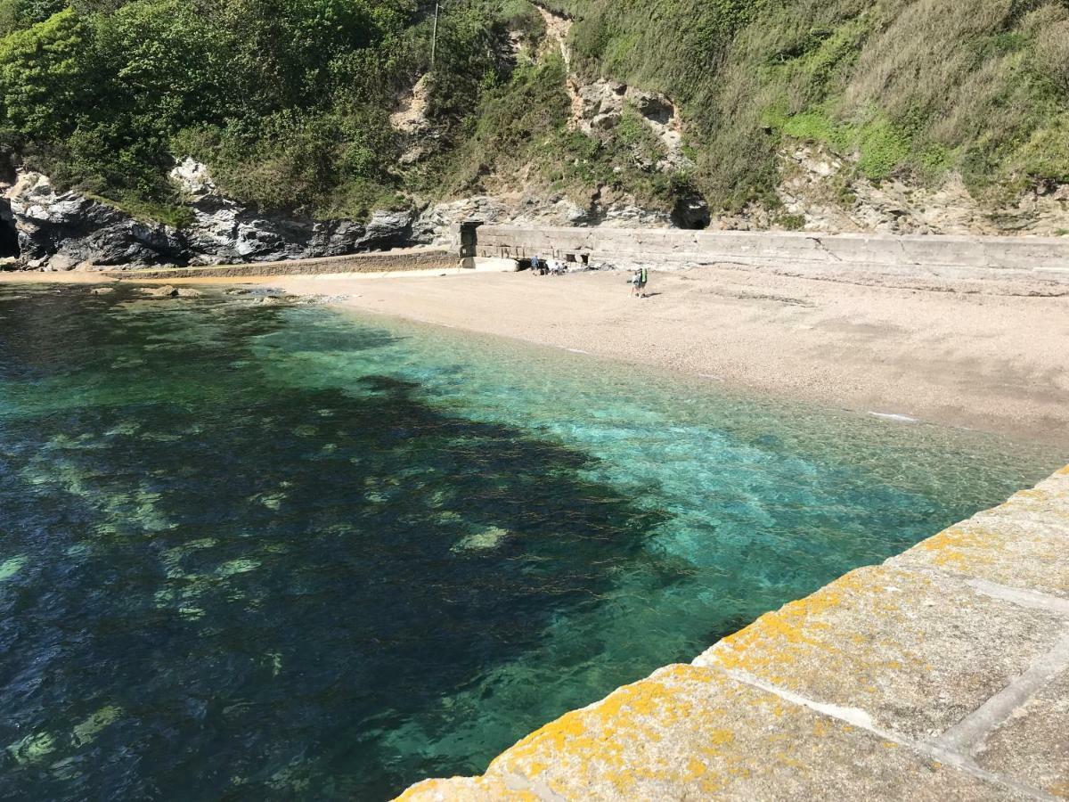 Starfish Cottage- Private Beach Access- Dog Friendly تشارلزتاون المظهر الخارجي الصورة