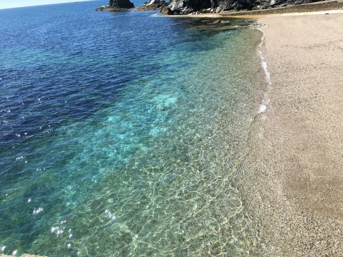 Starfish Cottage- Private Beach Access- Dog Friendly تشارلزتاون المظهر الخارجي الصورة